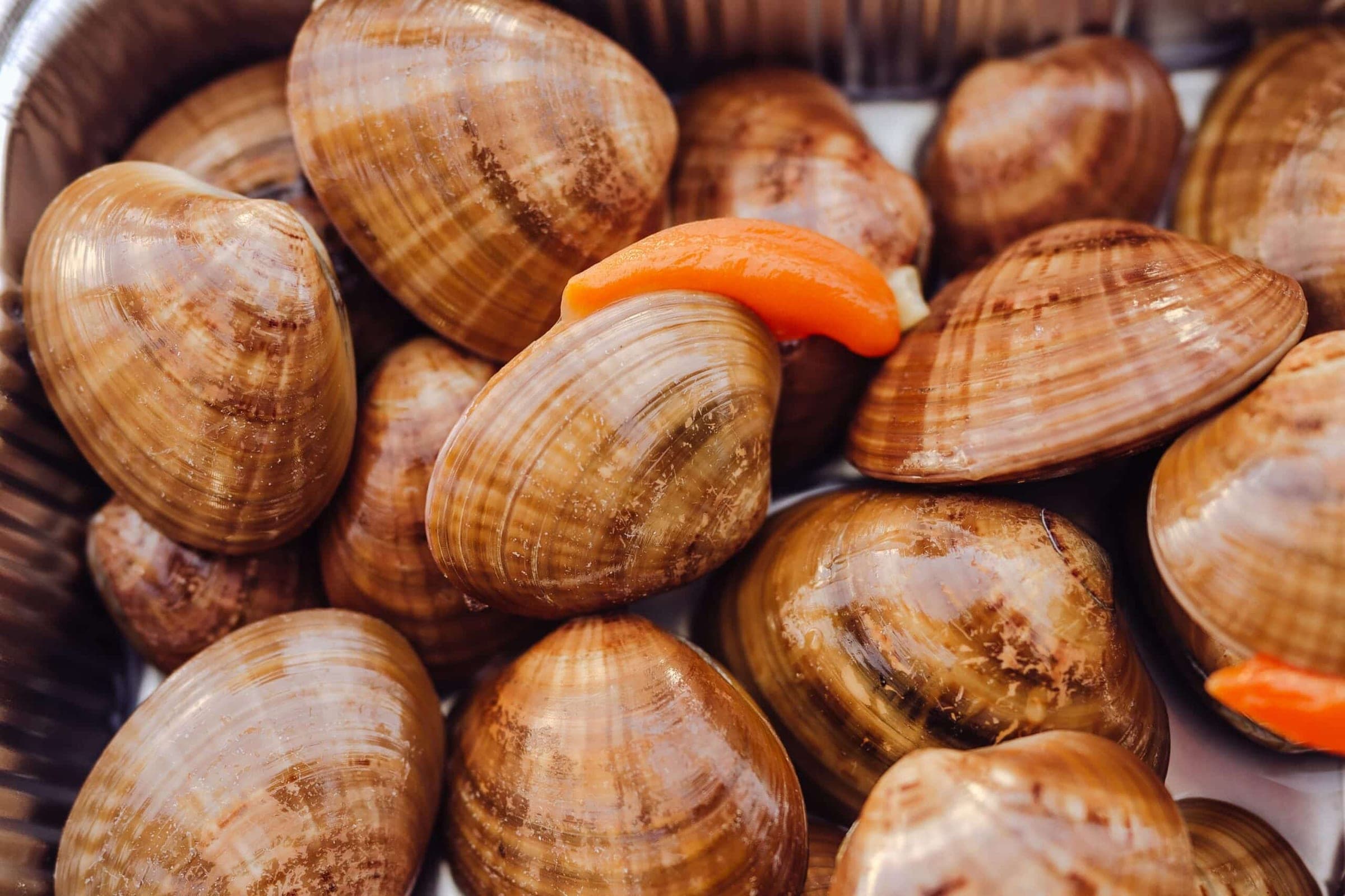 Fasolari freschi con il piede arancione