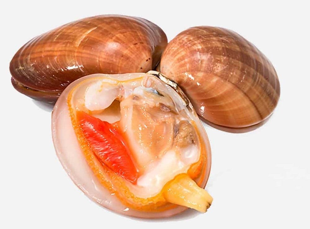 Tre fasolari, uno aperto