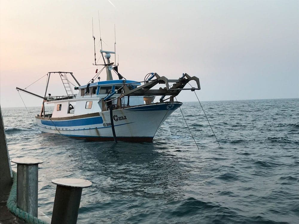 Peschereccio in navigazione all'alba nell'Alto Adriatico