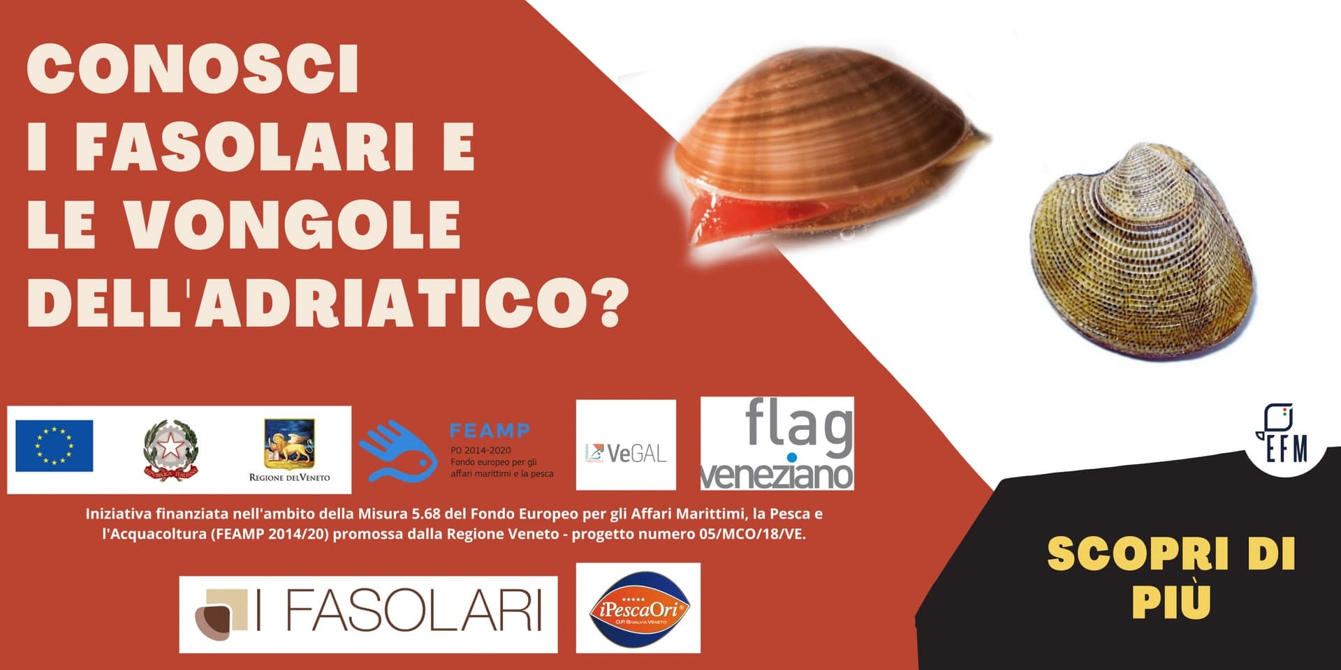 Banner della campagna Conosci i fasolari e le vongole dell'Adriatico con i loghi degli enti
